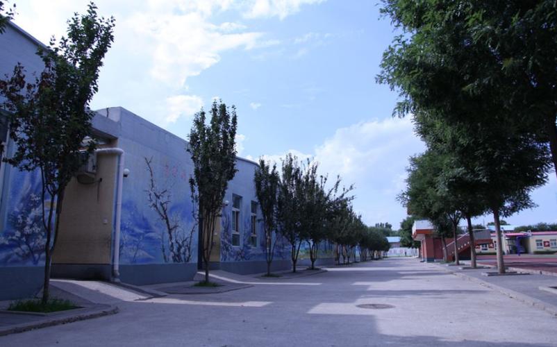 北京市通州区马驹桥镇大杜社小学