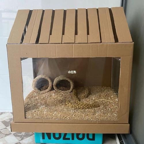 芦丁鸡笼 纸箱diy_diy_亚克力_芦丁鸡_兴趣爱好_手工