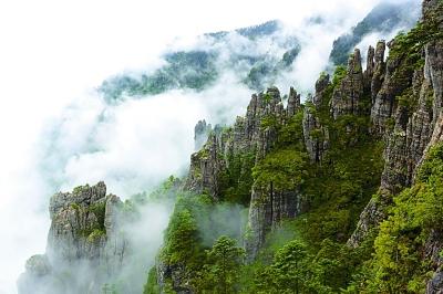 神农架国家公园:从"木头经济"向"生态经济"