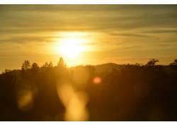 太阳,日落,美国,树木,阳光,景观,性质18293