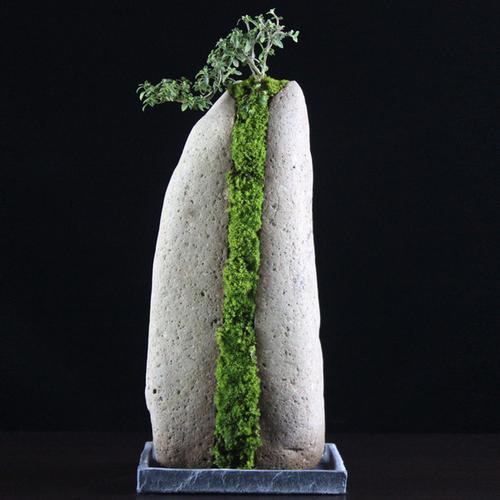 购客高山流水盆景石头倒扣花盆附石菖蒲景观造景装 饰盆栽悬崖式六月