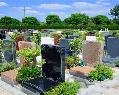 上海市崇明墓园瀛新园价格便宜 上海瀛新园陵园供应