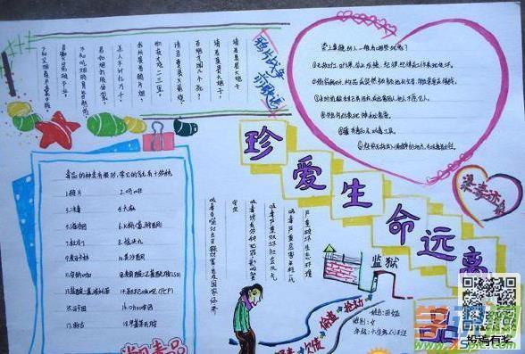 禁毒手抄报内容简单又好看