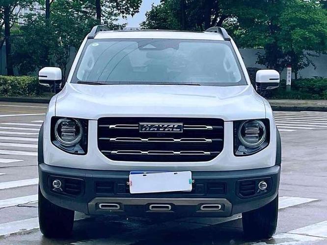 哈弗大狗 2021款 1.5t dct马犬版图片