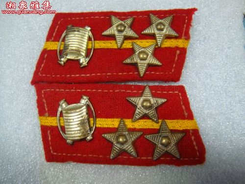 55防化兵符号肩章