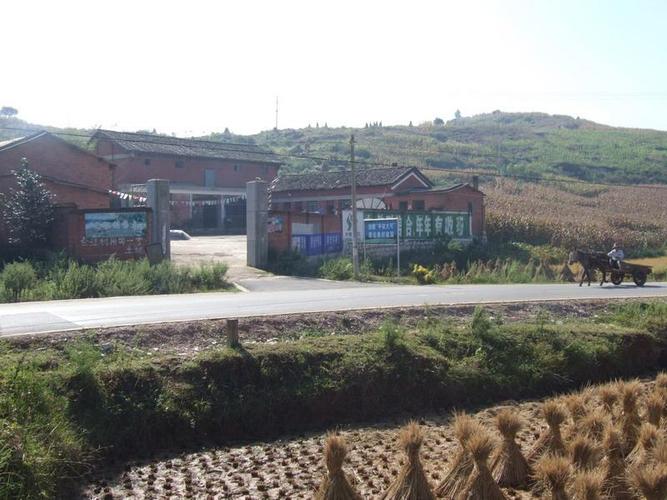 中龙村