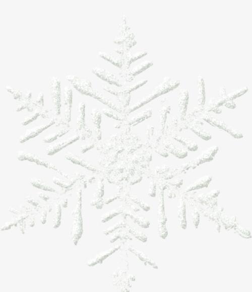 关键词 : 璀璨,雪花,冰花,晶体