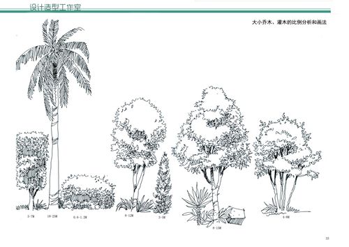 风景速写课程基础教案