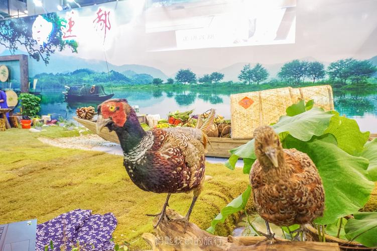 丽水美食来自大山里的馈赠