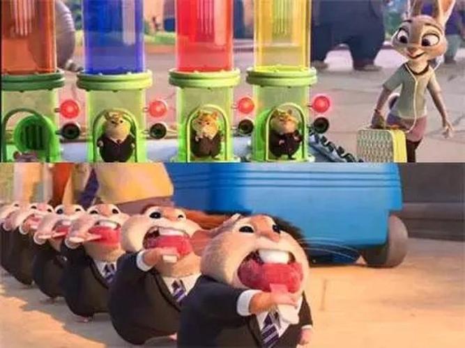 《疯狂动物城》里动物的英文表达,您教孩子了嘛?