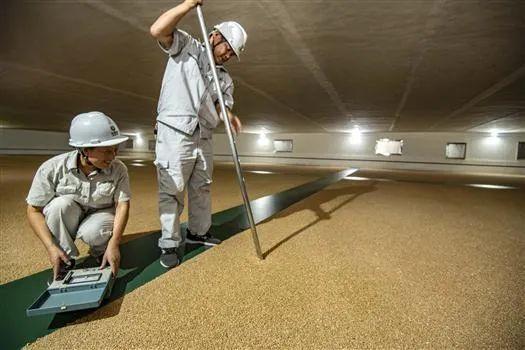 10月20日,青海省纪委监委发布消息,青海省玉树粮食储备库原主任尹学军