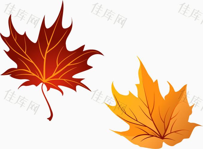 枫叶元素 颜色渐变 黄色 花卉植物 形状设计
