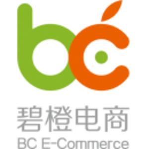 「碧橙电商」杭州碧橙数字技术股份有限公司工作环境?