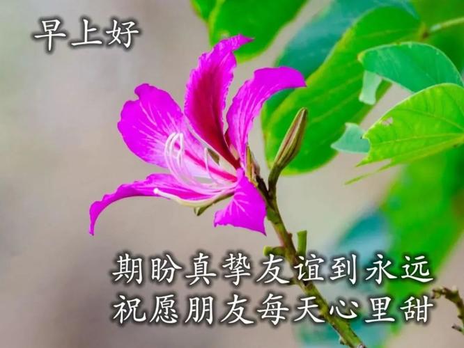 2021朋友早晨微信问候语 特好看早安祝福美图送给你