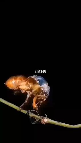 加油!年轻人_励志_情感_励志鸡汤