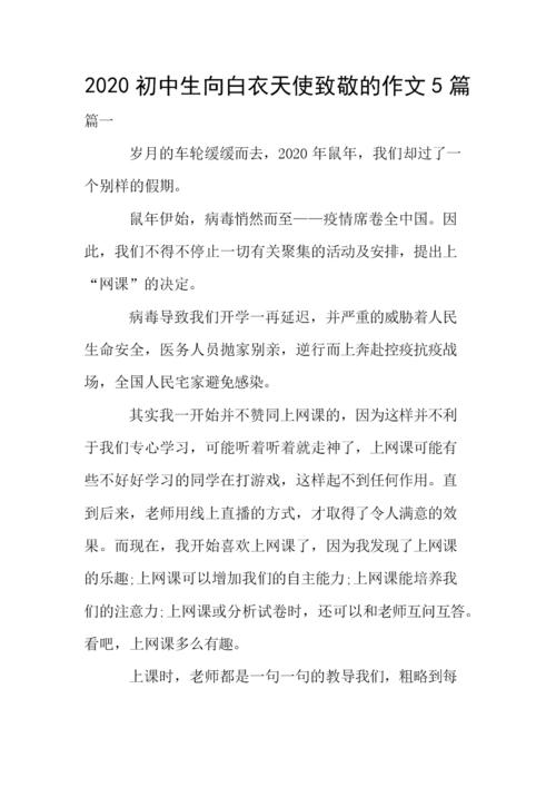 初中生向白衣天使致敬的作文5篇.doc 8页