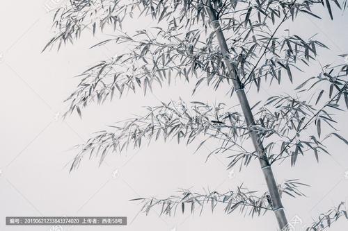 简笔画 手绘 线稿 900600