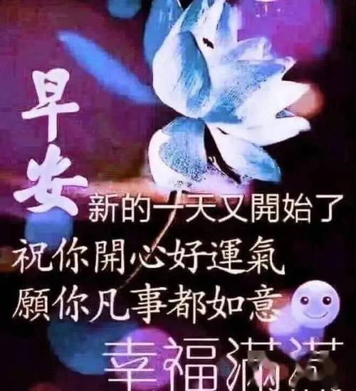 中老年表情包聊天动态带字图片祝你开心好运气愿你凡事都如意