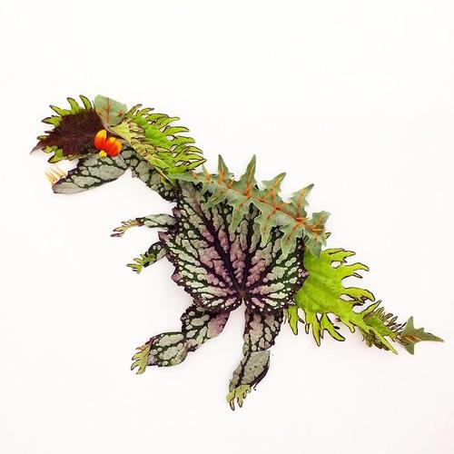 一组用树叶拼贴出的美丽动物插画分享!