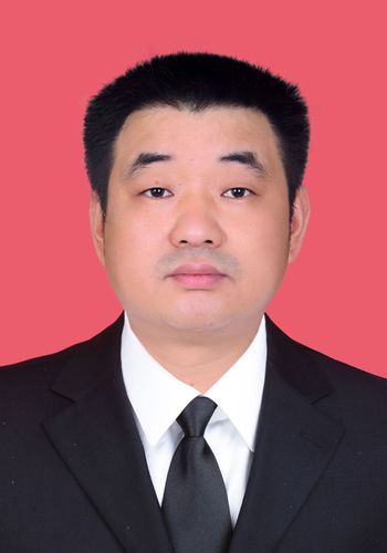 现任保靖县人民政府党组成员,副县长,县政府办党组书记,主任.