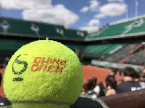 看似网球,又不是网球,它到底是什么?