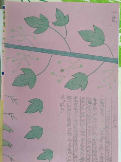 锡市五校四年八班《爬山虎的脚》思维导图