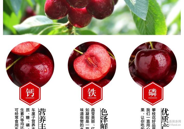 大樱桃汉源樱桃批发 四川特产汉源车厘子美早水果产地