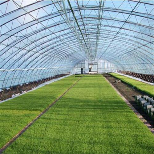 甘肃规模大的薄膜蔬菜温室大棚厂家介绍如何维护薄膜蔬菜温室大棚的