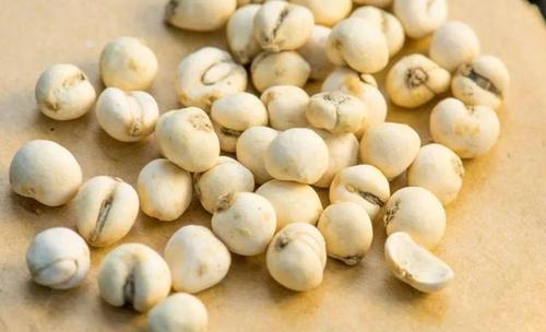 在家怎么做"川贝雪梨膏"?看看中医怎么说川贝