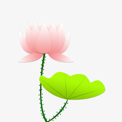 花卉,花朵,荷花,中国风,卡通,可爱,小清新