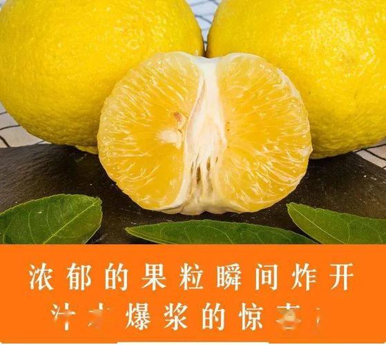 肉质细腻但如果切开,又满是诱人的桔香黄金贡柚有些像胡柚,色泽浅黄一