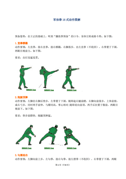 军体拳16式动作图解教程doc8页