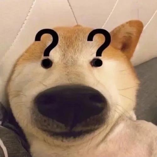 关于狗子的沙雕表情包你见过几个