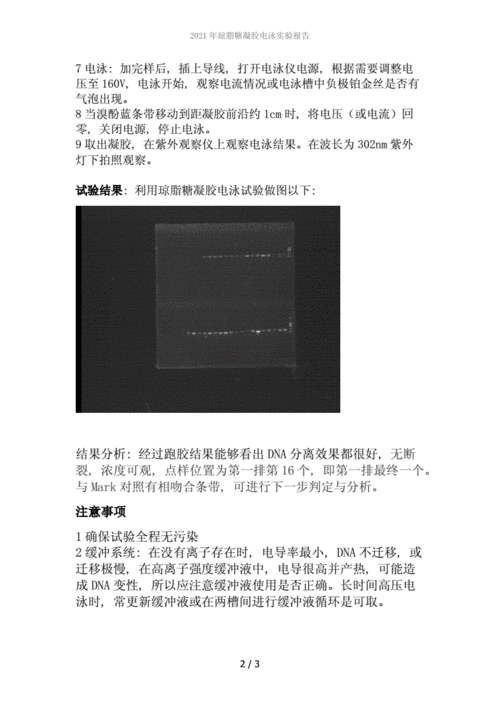 2021年琼脂糖凝胶电泳实验报告.doc 3页