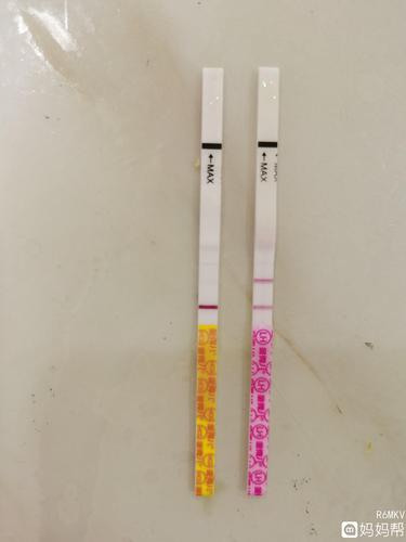 早早孕意念灰排卵试纸强阳客服说早孕试