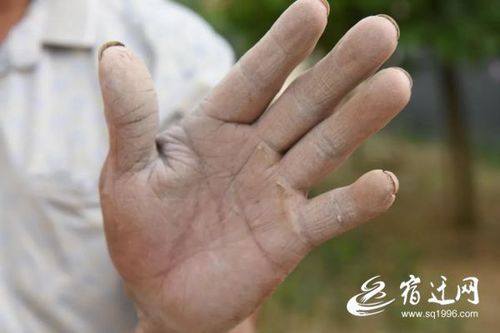 农民伯伯的双手   勤劳的双手,换来了香甜可口的粮食.
