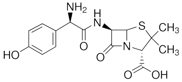 amoxicillin