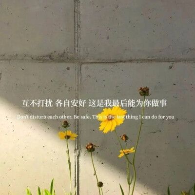 朋友圈背景图伤感的