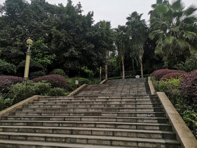 仁和半岛,仁和路中段-自贡仁和半岛二手房,租房,房价