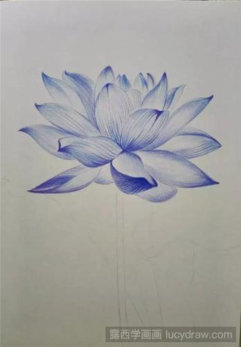 蓝莲花彩铅画教程
