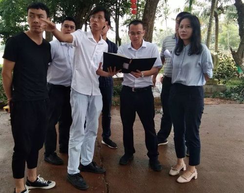 今日关注琼山区委副书记区长王和娇率队深入企业一线调研海航投资项目