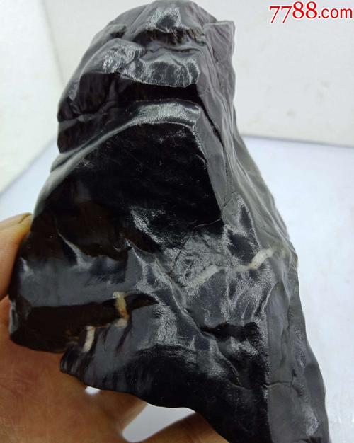 1881新疆黑色戈壁硅化木摆件815克