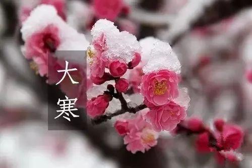 今日大寒,我用微信祝福,把温暖送给微信那头的你!