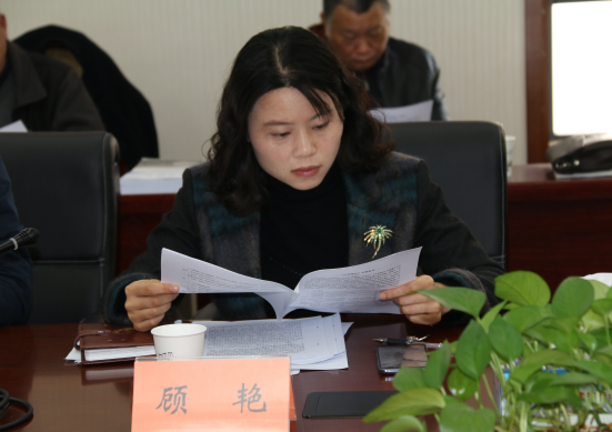 平望镇党委副书记顾艳讲话