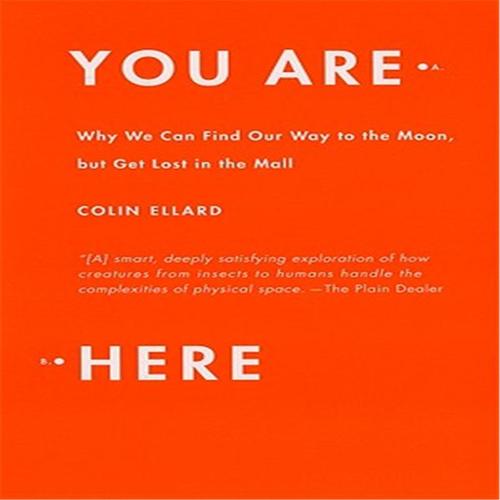 hereyouare翻译,hereyouare中文 查看源网页