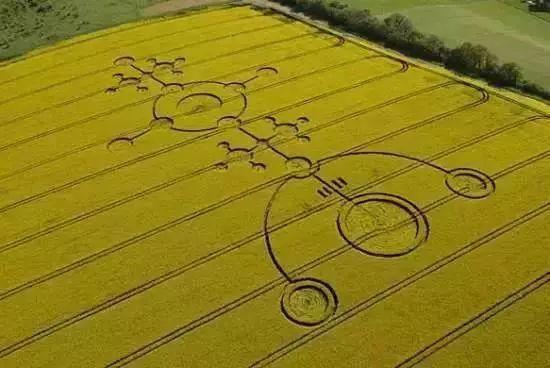 世界十大未解之谜之麦田怪圈的真相