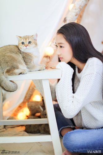 组图:关晓彤携猫贺圣诞 呆坐帐篷显暖意