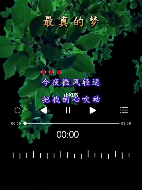 最真的梦_音乐_歌曲_老歌_经典老歌_娱乐_音乐_音乐