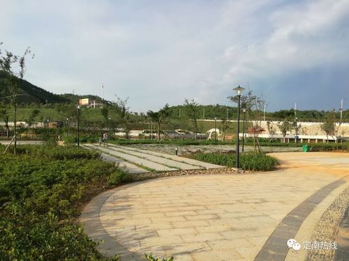 7月9日,有热心市民致电定南热线,称定南东江湿地公园数百盏灯白天亮起