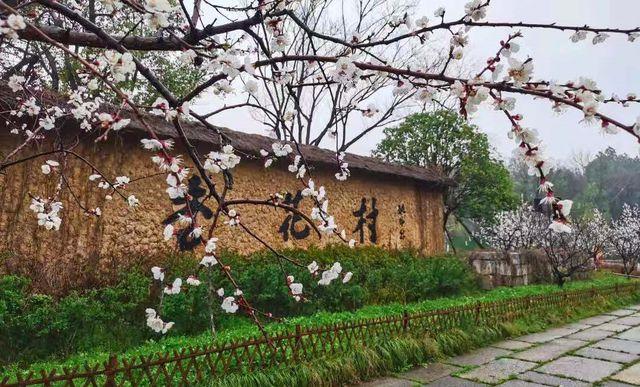 春游江淮请您来丨池州杏花村春色秀美满村落花漾田园引客来